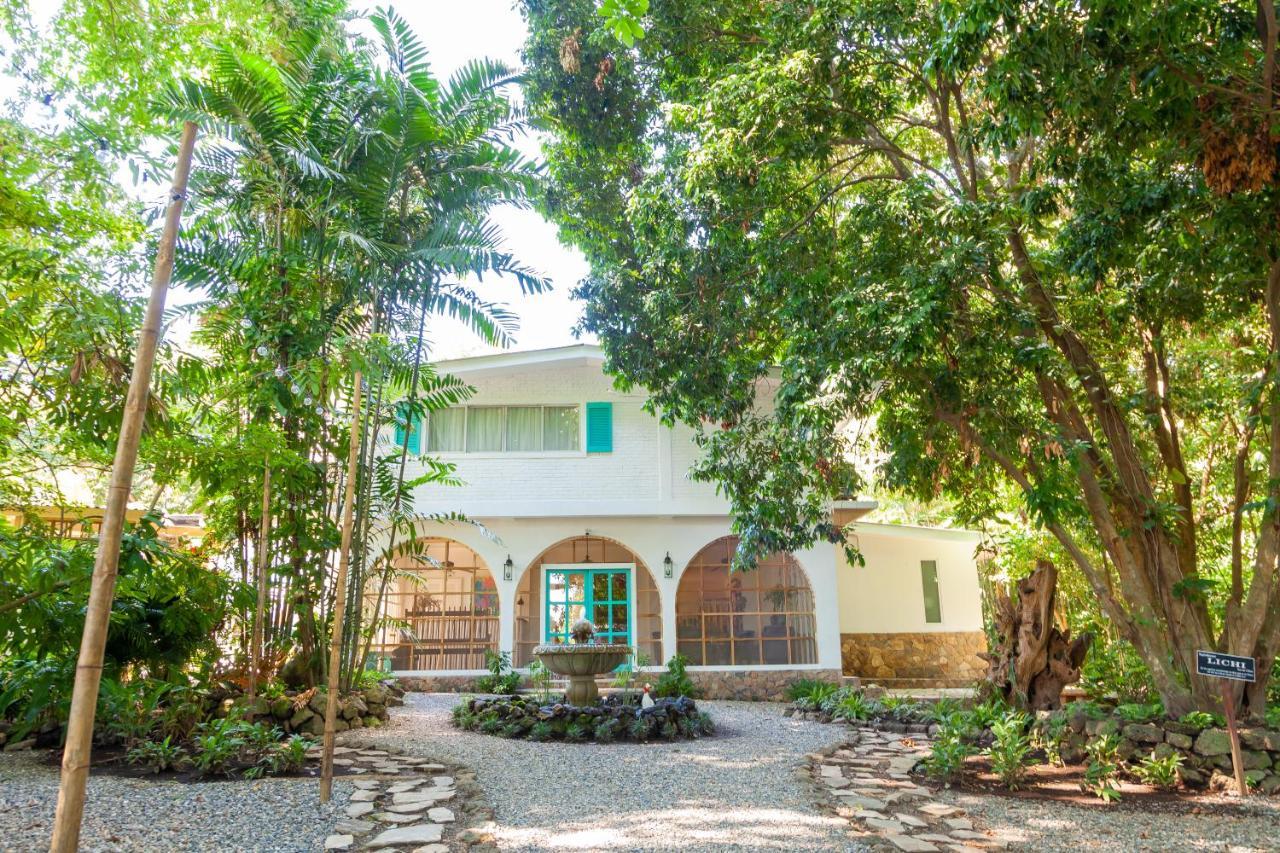 Angeli Gardens Boutique Hotel 圣佩德罗苏拉 外观 照片